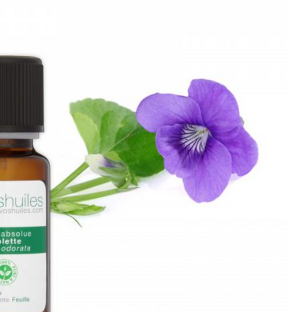 L'huile essentielle de Violette