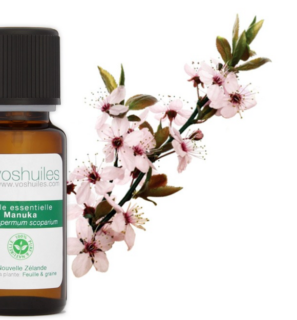 L'huile essentielle de Manuka 