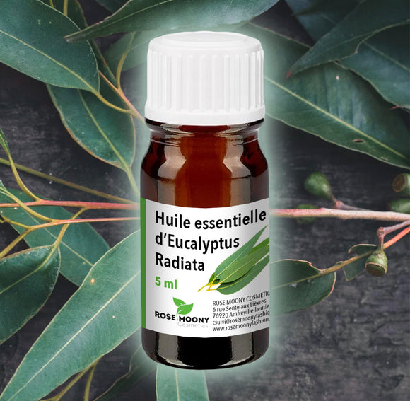 huile essentielle d’eucalyptus radié