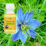 cumin noir, nigelle cultivée nigella , black cumin oil