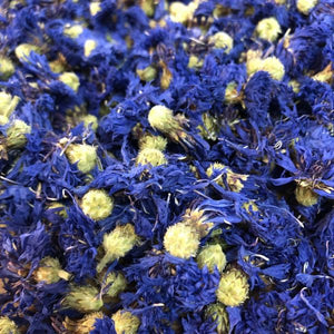 bleuet centaurea cyanus fleurs séchées