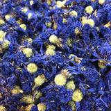 bleuet centaurea cyanus fleurs séchées