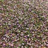 bruyère bio fleurs et feuilles
