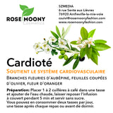 soutient le système cardiovasculaire tisane