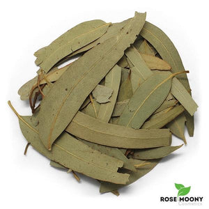 eucalyptus leaves natural health by rose moony