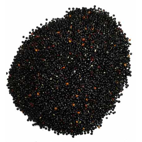 quinoa noir