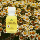 Huile de qualité cosmétique, vente en vrac. L'huile de camomille Helianthus Annuus Seed Oil, Chamomilla Recutita Flower Extract