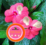 Boîte de perles Yoni purifiantes pour femme - Vaginal Detox Pearls
